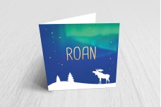 Eland met noorderlicht Eland met noorderlicht